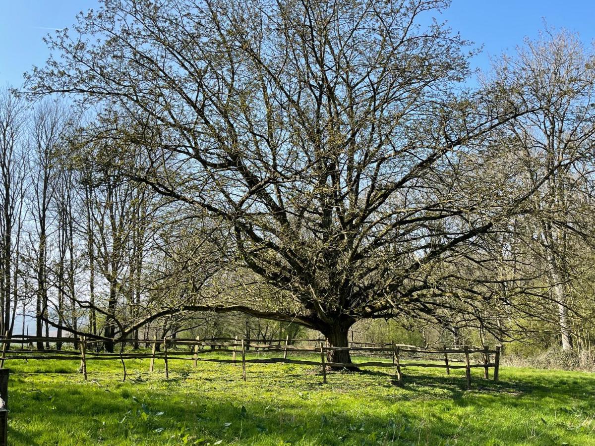Domaine De Fresnoy Panzió Loison-sur-Créquoise Kültér fotó