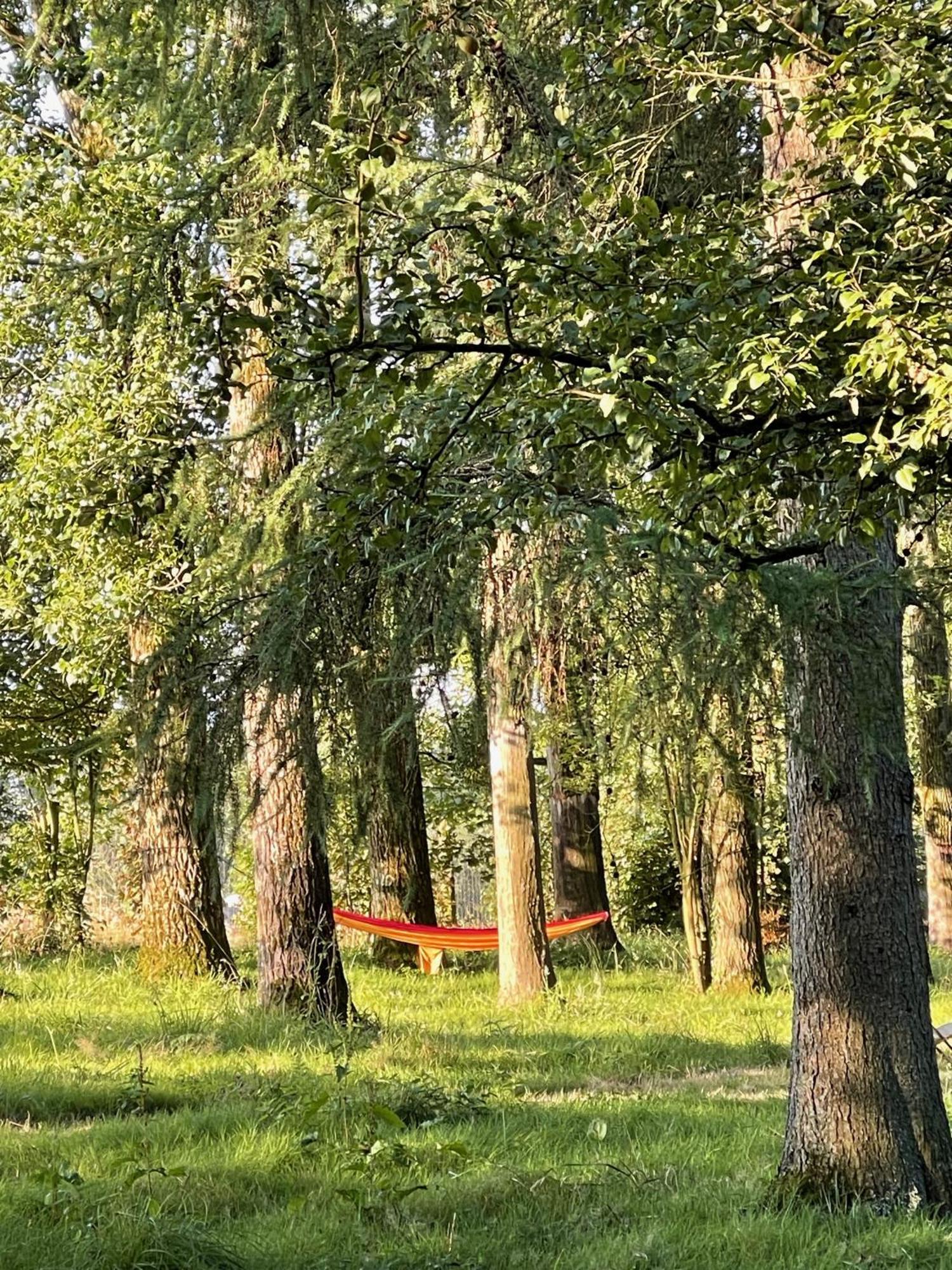 Domaine De Fresnoy Panzió Loison-sur-Créquoise Kültér fotó