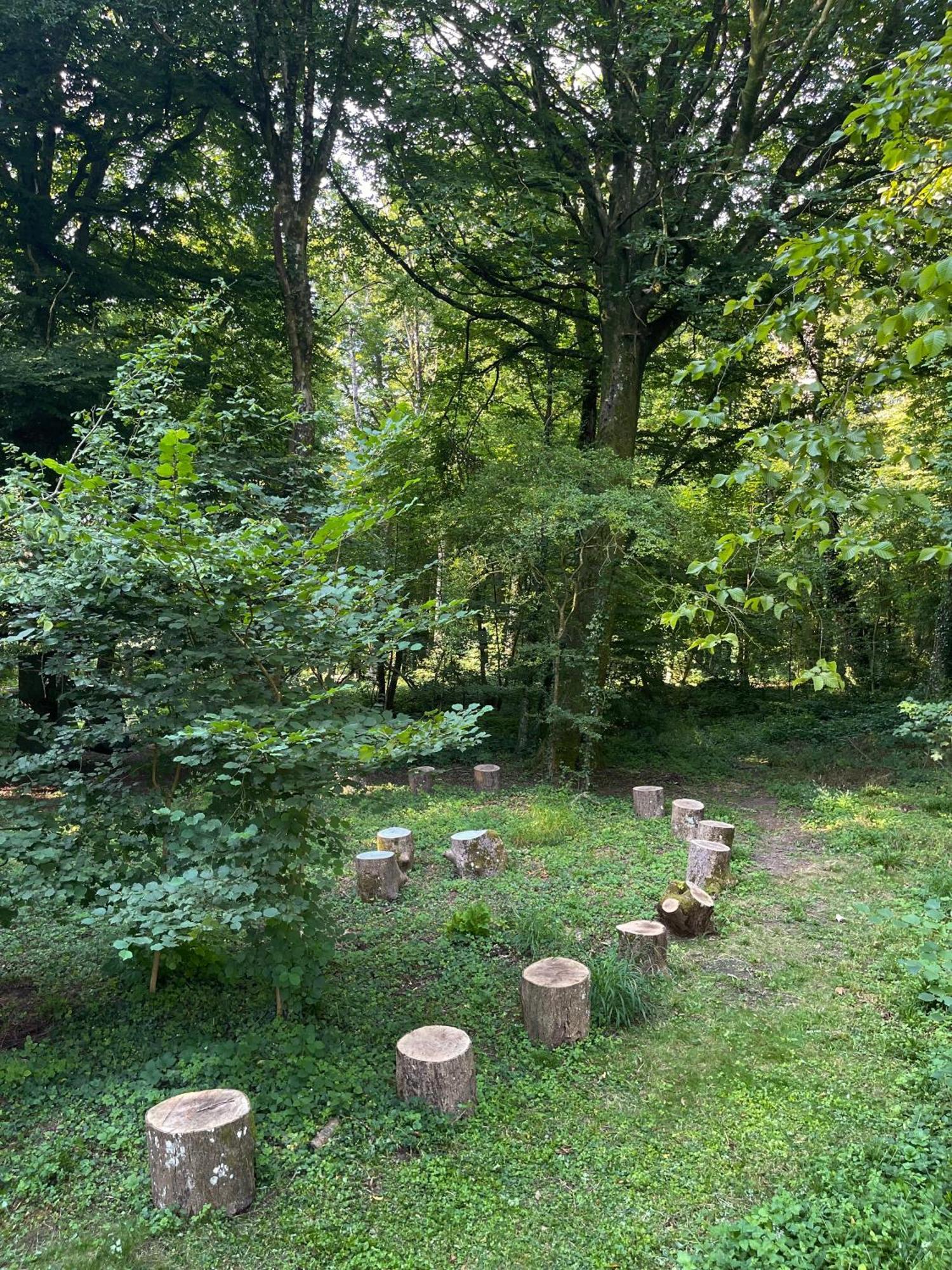Domaine De Fresnoy Panzió Loison-sur-Créquoise Kültér fotó